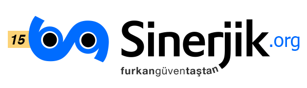 Sinerjik.org